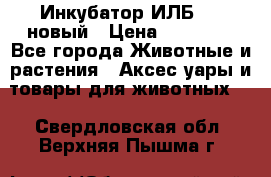 Инкубатор ИЛБ-0,5 новый › Цена ­ 35 000 - Все города Животные и растения » Аксесcуары и товары для животных   . Свердловская обл.,Верхняя Пышма г.